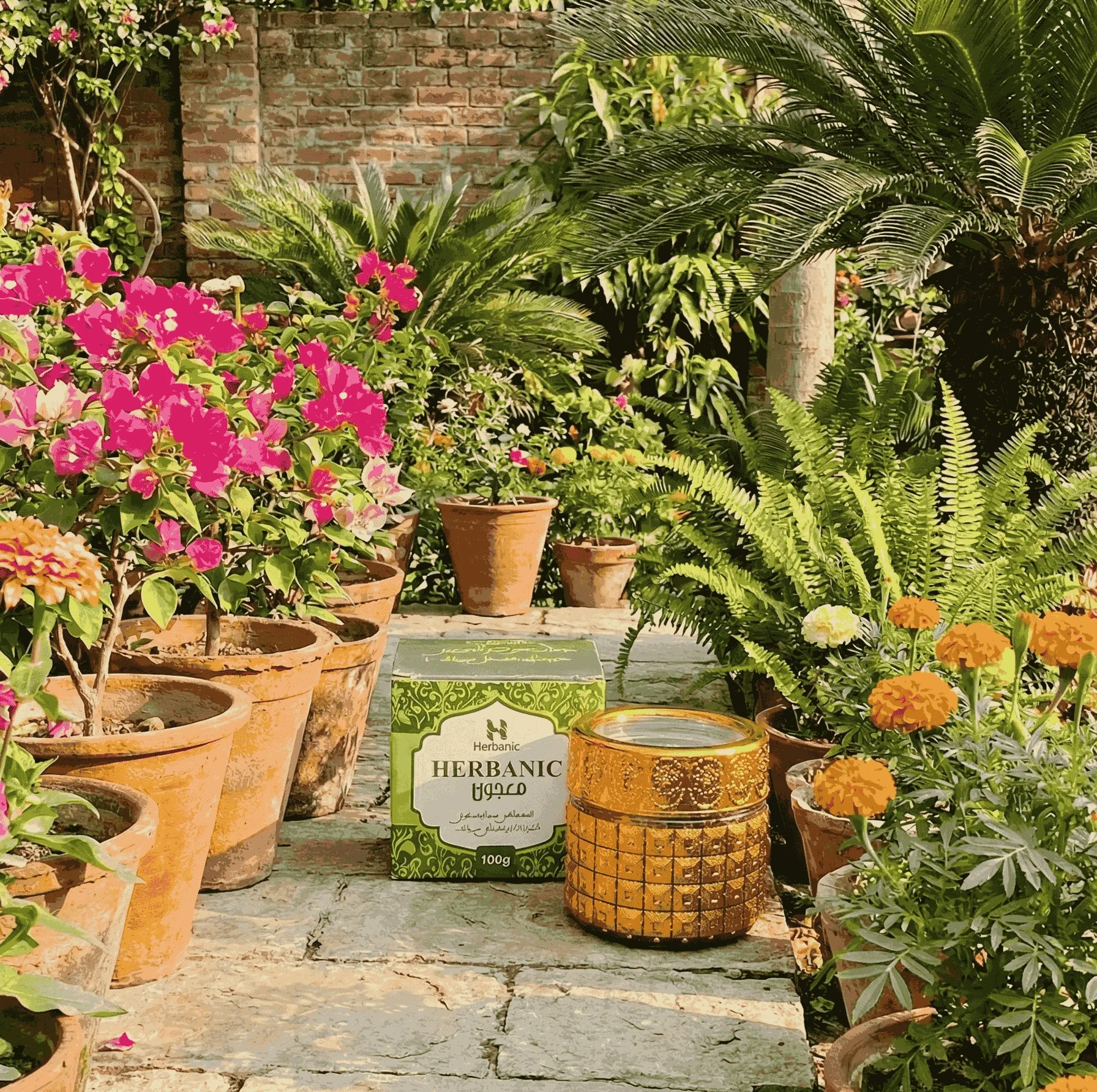 about herbanic section 2