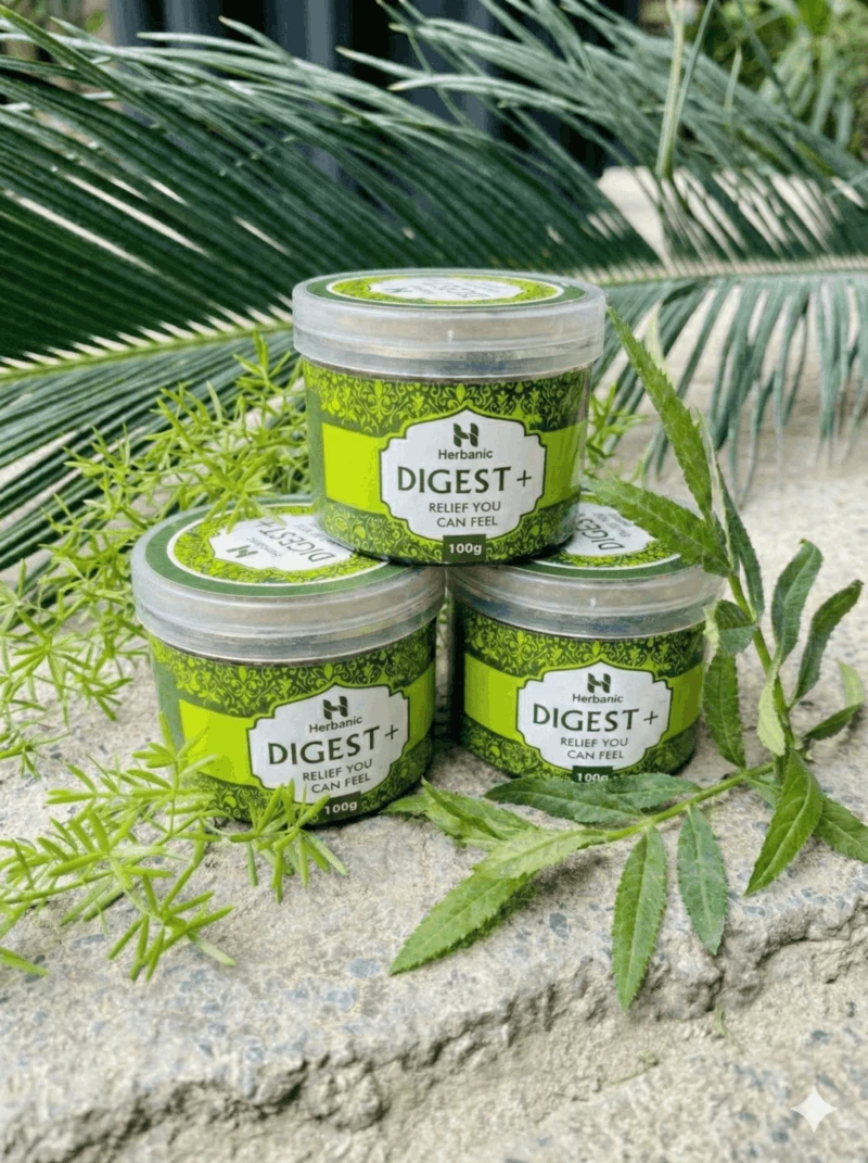 bundle digest plus 3 front